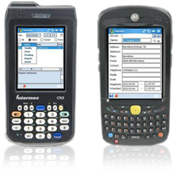 MSS - Mobile Sales System (PDA)